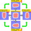 [085]``Switching magnetic texture via in-plane magnetic field in noncentrosymmetric dipolar magnets: From skyrmions to antiskyrmions and nontopological magnetic bubbles